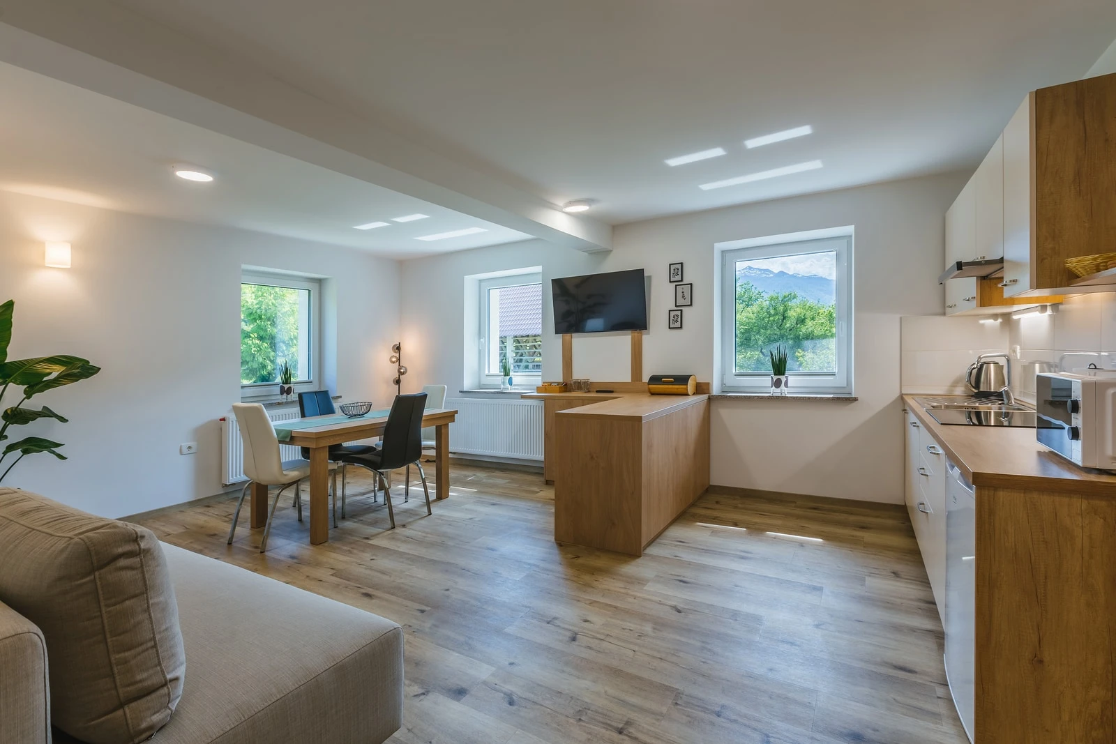 Veliki enosobni apartma