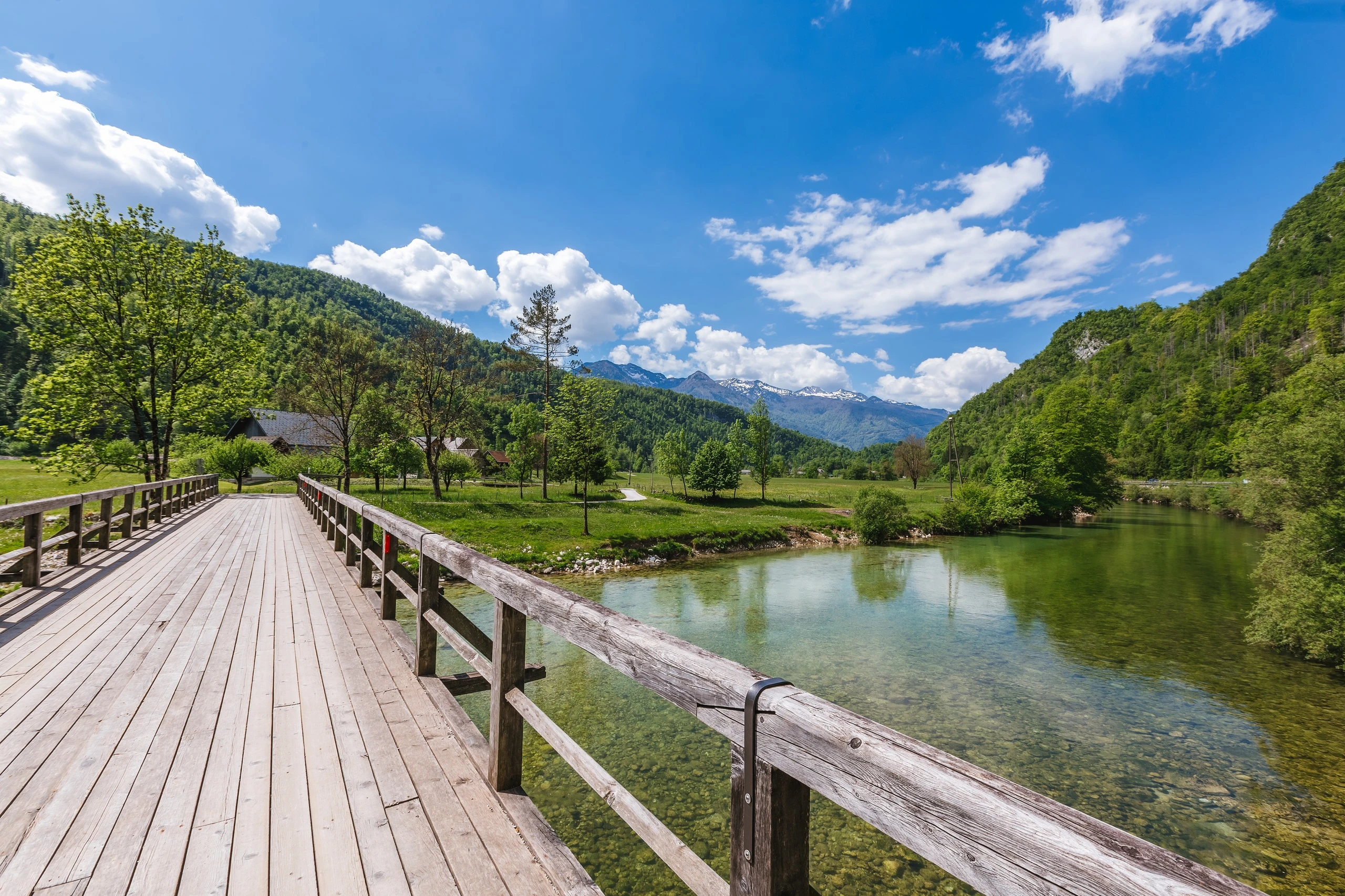 Erholung direkt am Fluss und am Wald